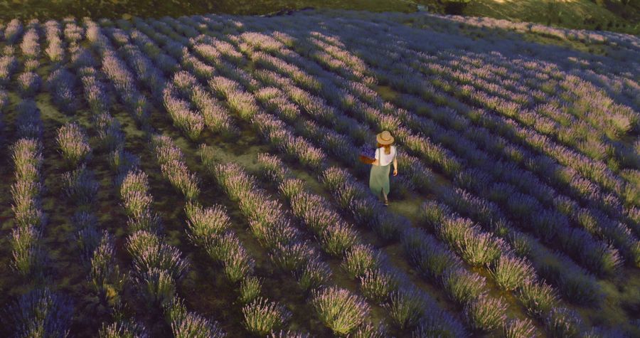 Provence, France