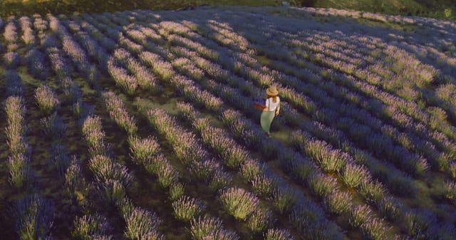 Provence, France