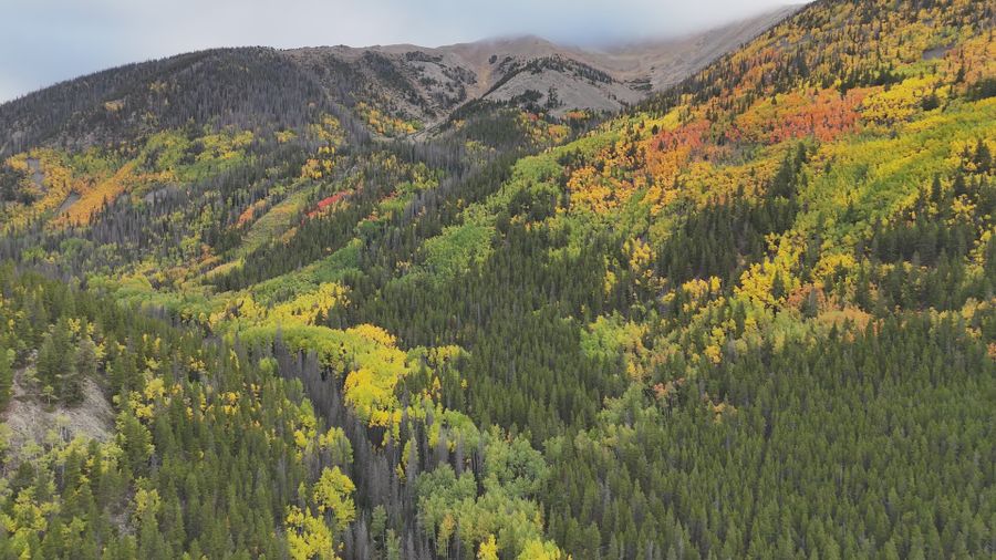 Aspen, United States